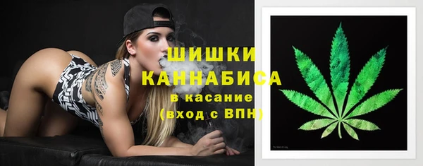 шишки Нязепетровск