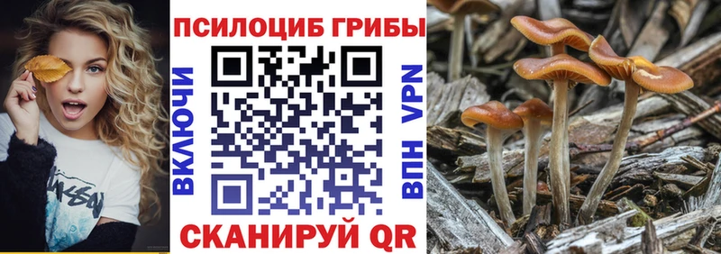 гидра ССЫЛКА  Алексин  Псилоцибиновые грибы MAGIC MUSHROOMS 
