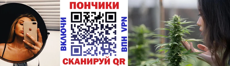 закладка  Алексин  МАРИХУАНА индика 